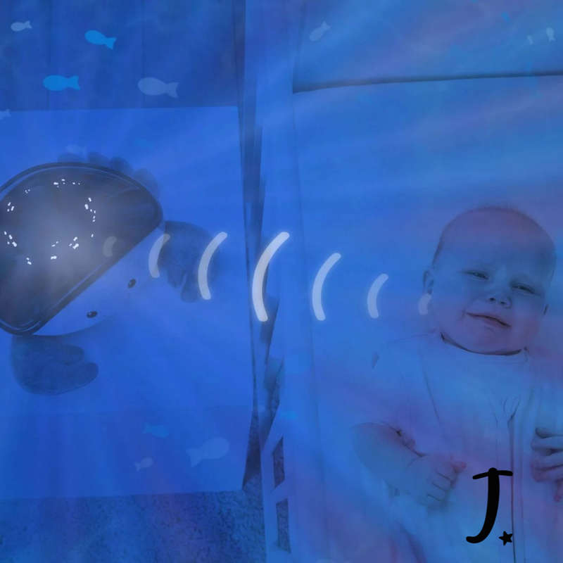 Cody the Crab Musical ocean projector