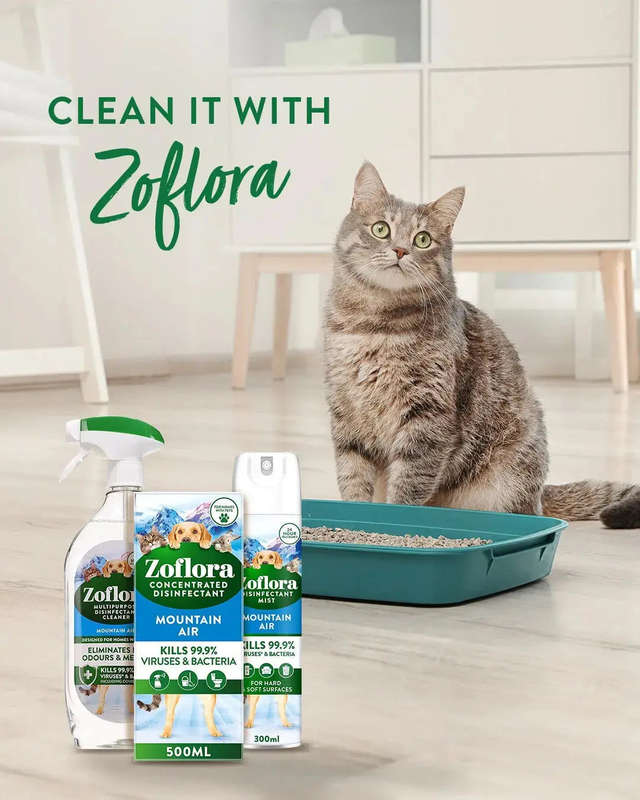 Zoflora Mountain Air Multipurpose Disinfectant Cleaner