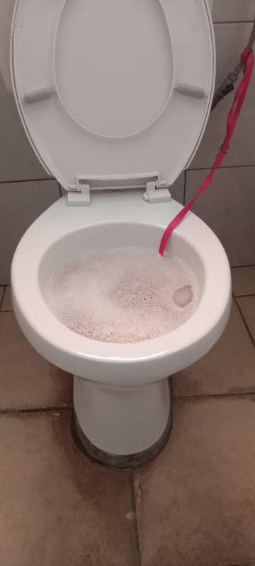 TRIPLE RED TOILET BOWL DESCALER 1LTR FTOI001