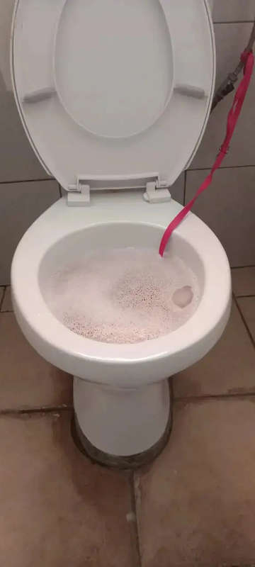 TRIPLE RED TOILET BOWL DESCALER 5LTR FTOI001