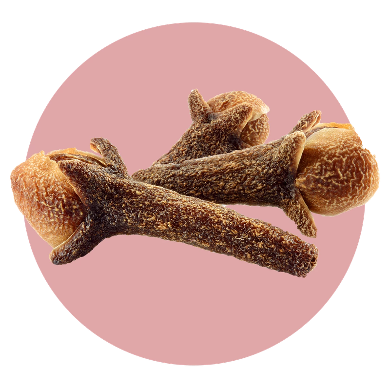 Zoflora Cranberry & Orange Concentrate