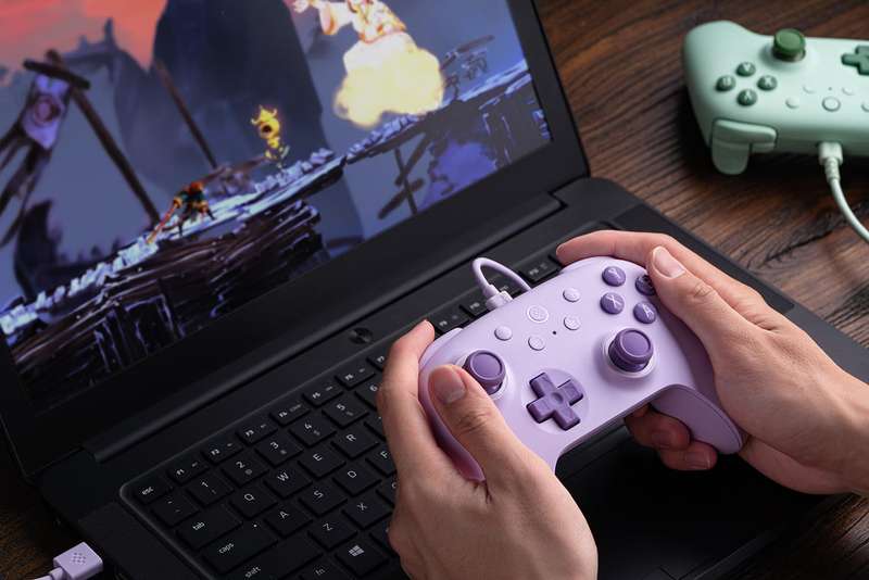 8BitDo Ultimate 2C Wired Controller For Windows and Android Purple