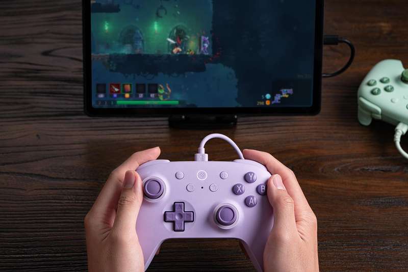 8BitDo Ultimate 2C Wired Controller For Windows and Android Purple