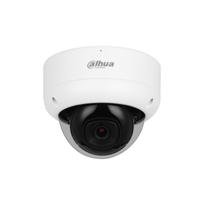 Dahua 2MP IR Fixed-focal Dome WizSense Network Camera