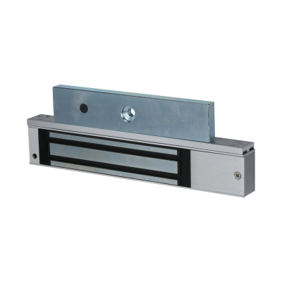 Dahua Magnetic Lock