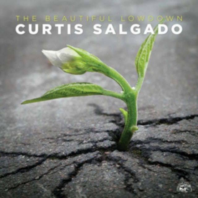 Curtis Salgado - Beautiful Lowdown (CD)