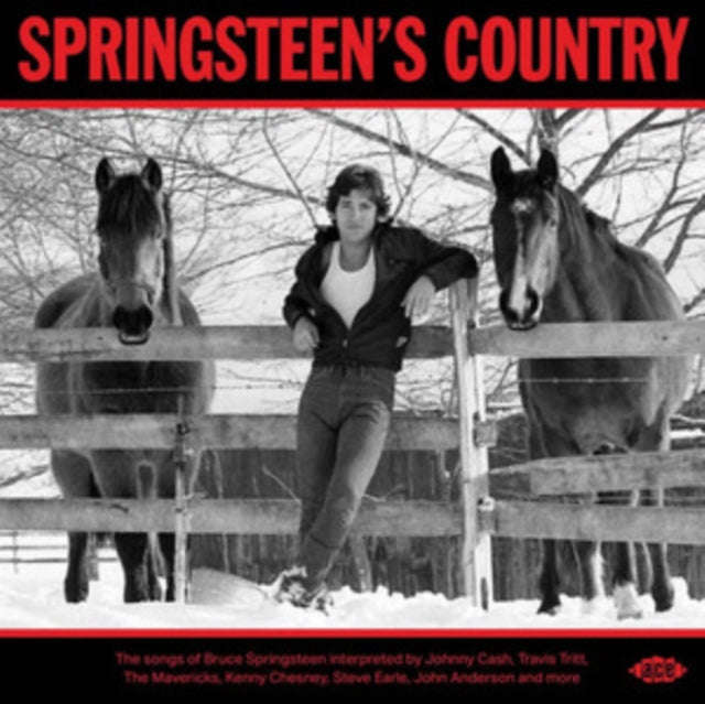Various Artists - Springsteens Country (CD)