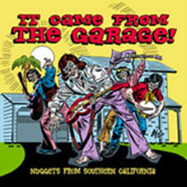 Various Artists - It Came From The Garage - Nuggets From (CD)