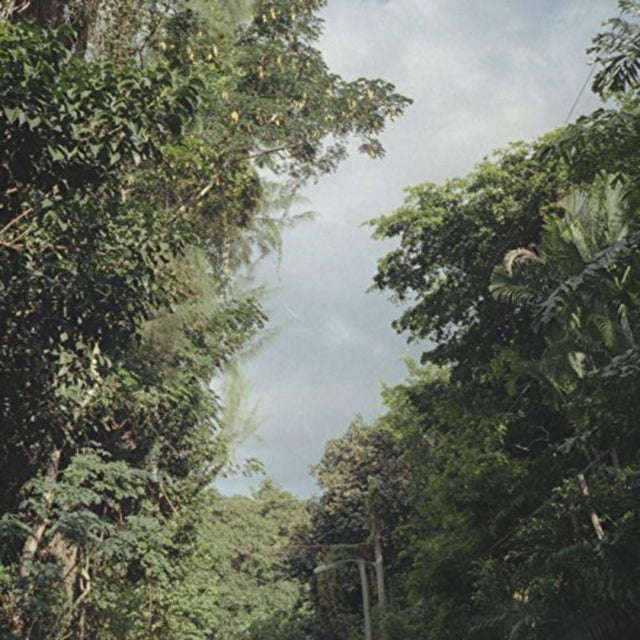 Zac Nelson - New Once (Vinyl)