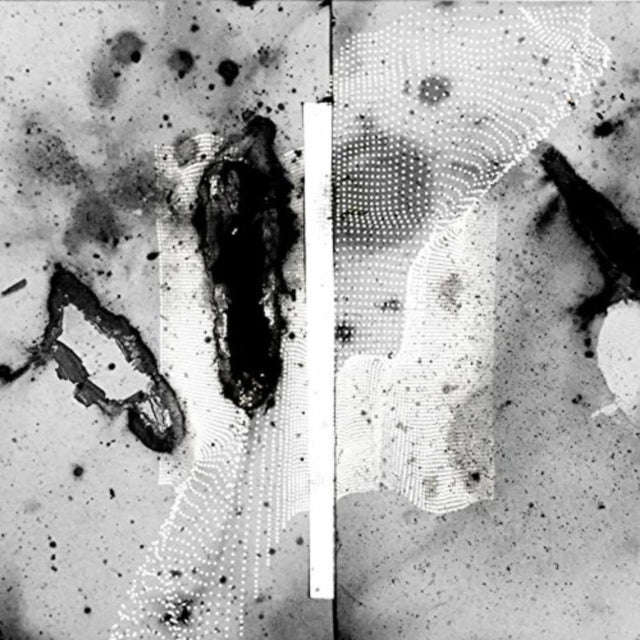 Certain Creatures - Vipassana (Vinyl)