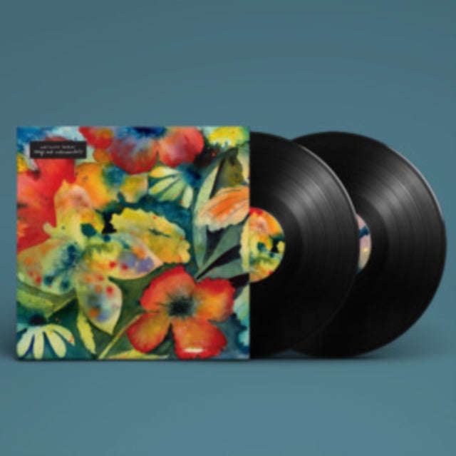Adrianne Lenker - Songs And Instrumentals (Vinyl)