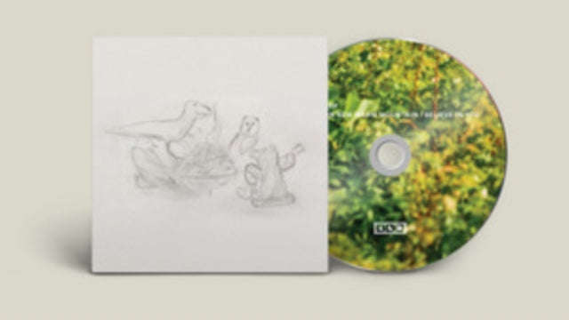 Big Thief - Dragon New Warm Mountain I Believe In You (CD)