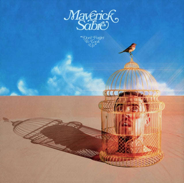Maverick Sabre - Dont Forget To Look Up (Vinyl)