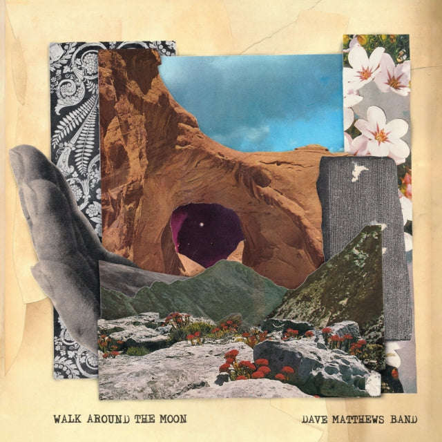 Dave Matthews Band - Walk Around The Moon (Vinyl)