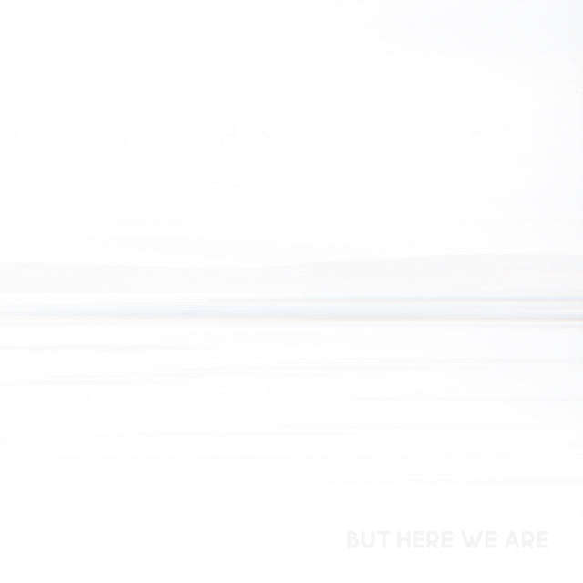 Foo Fighters - But Here We Are (Vinyl)