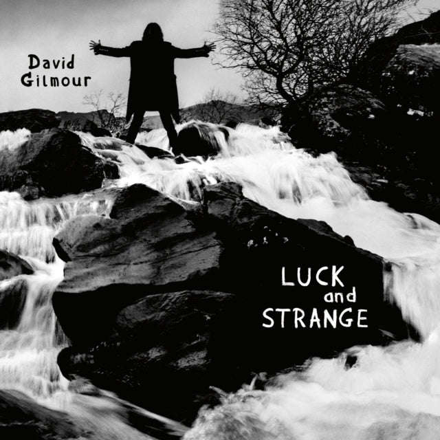 David Gilmour - Luck & Strange (Vinyl)