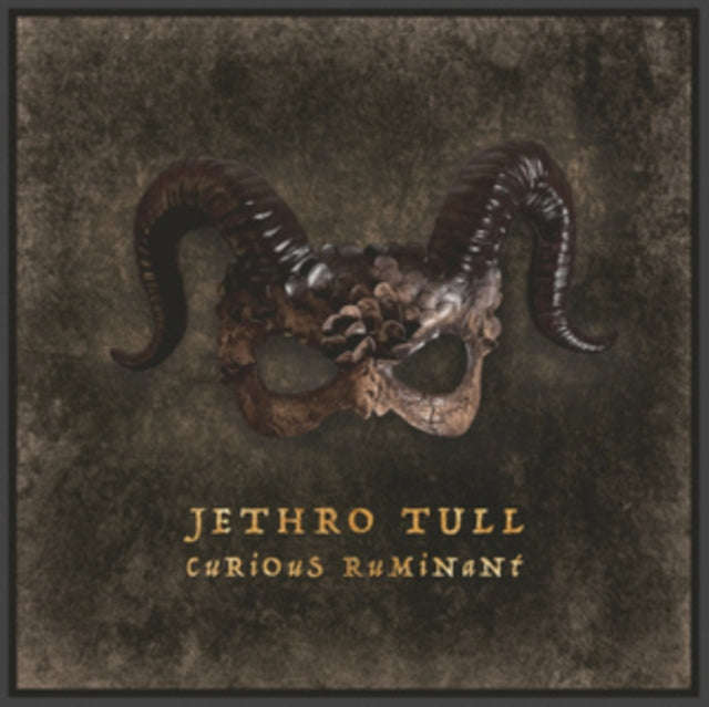 Jethro Tull - Curious Ruminant (Gatefold Black LP) (Vinyl)