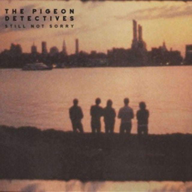 Pigeon Detectives - Still Not Sorry (CD)