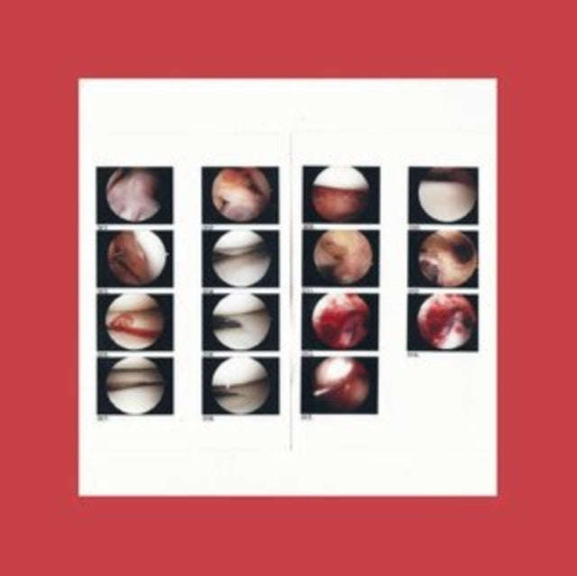 Cradle - Laughing In My Sleep (Vinyl Single)