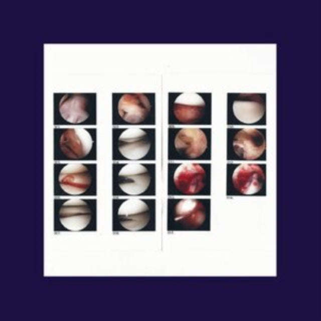Cradle - Laughing In My Sleep (CD)