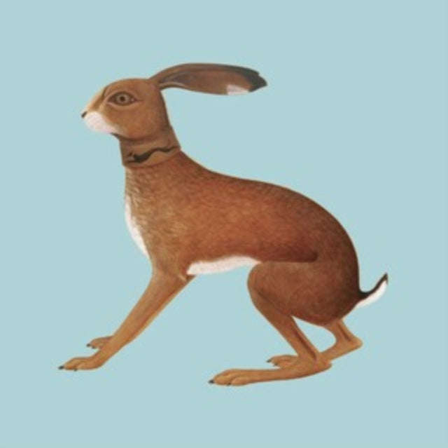 Vashti Bunyan - Lookaftering - Expanded Edition (Vinyl)