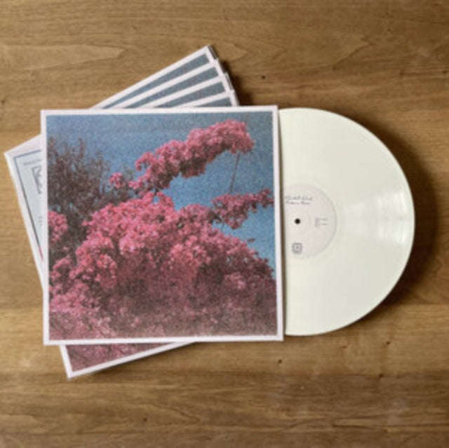 Elisabeth Klinck - Picture A Frame (Vinyl)