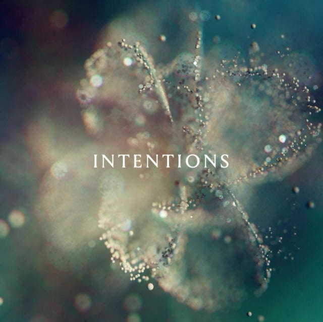 Anna - Intentions (Vinyl)