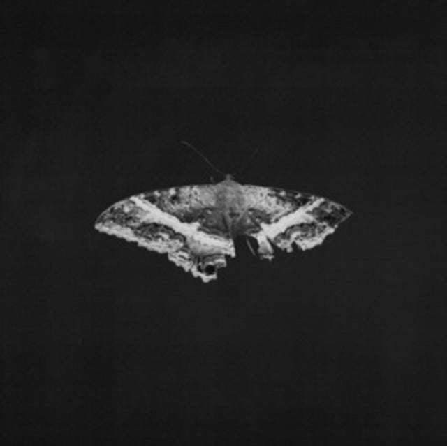 Kendrick Lamar - To Pimp A Butterfly Exclusive 180G Vinyl (10 Year Anniversary Edition) - Alterna...