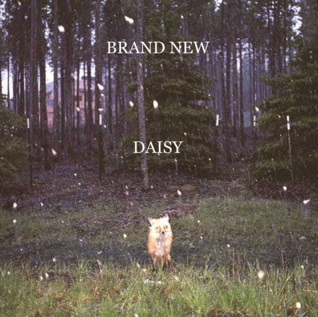 Brand New - Daisy (Vinyl)