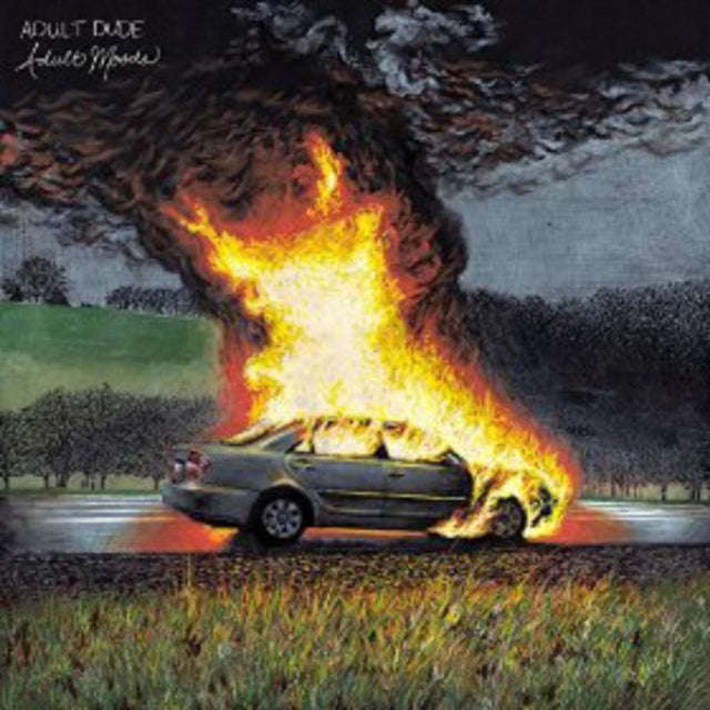 Adult Dude - Adult Moods (Vinyl)
