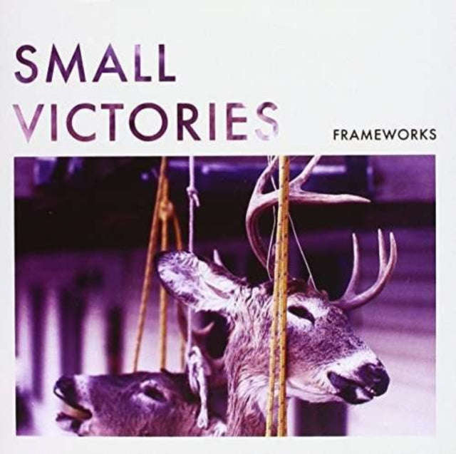 Frameworks - Small Victories (Coloured Vinyl) (Vinyl Single)