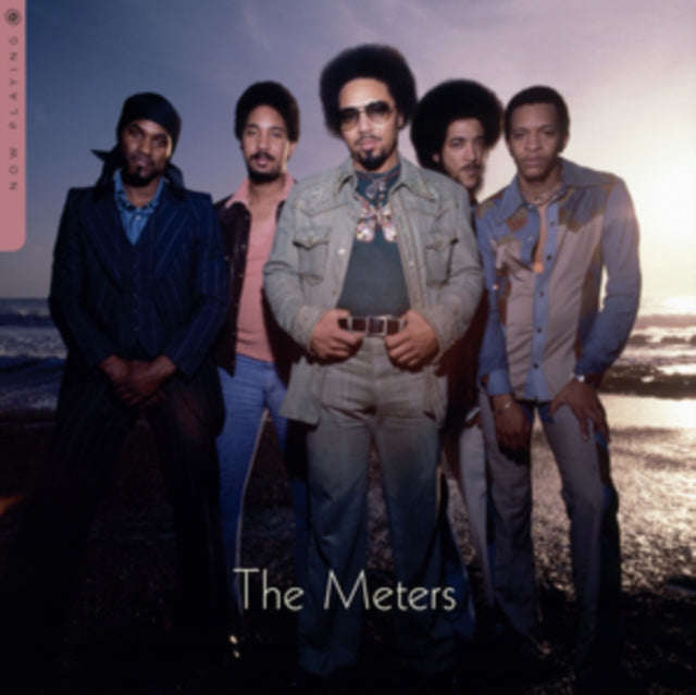 Meters - Now Playing (Vinyl)