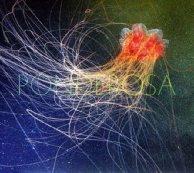 Ponderosa - Pool Party (CD)