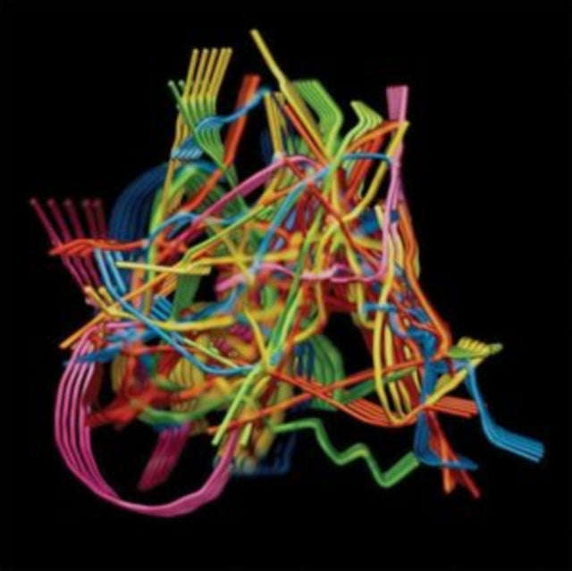 Dustin Wong - Perpetual Morphosis (CD)