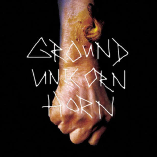 Ground Unicorn Horn - Damn I Wish I Was Fat (Vinyl Single)