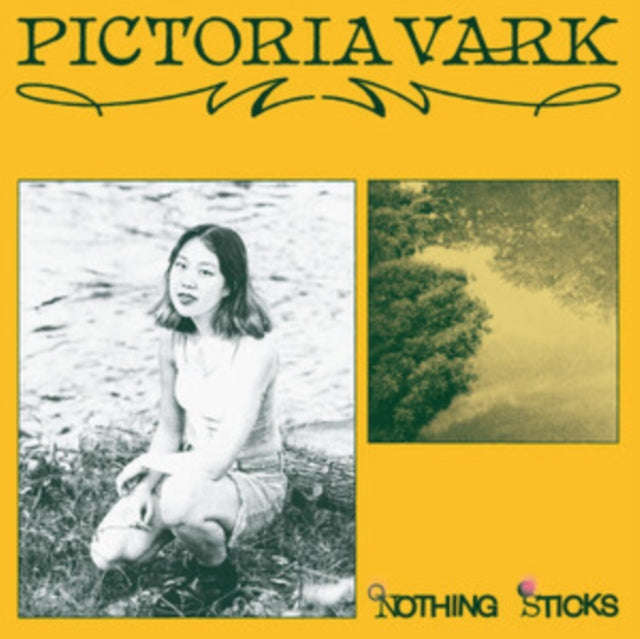 Pictoria Vark - Nothing Sticks (Vinyl)