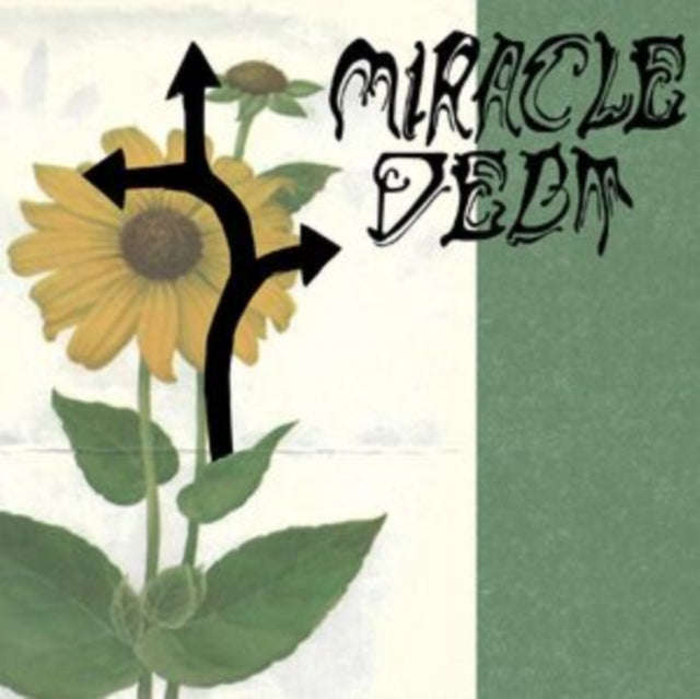 Miracle Debt - Under The Shadow (Vinyl)