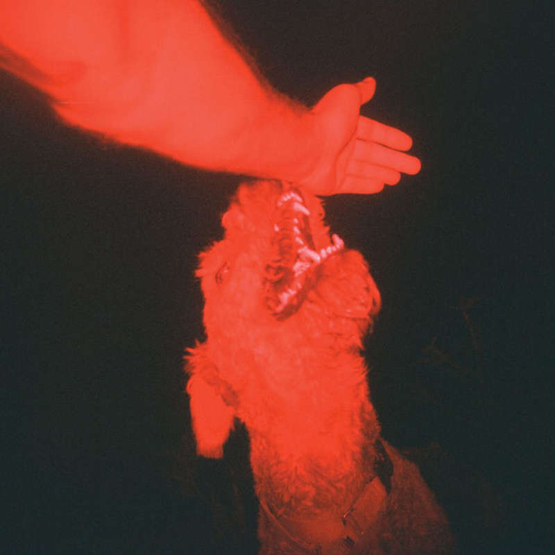 Eli Winter - A Trick Of The Light (Vinyl)