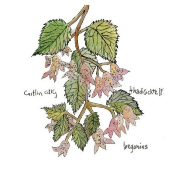 Caitlin Cary - Begonias (CD)