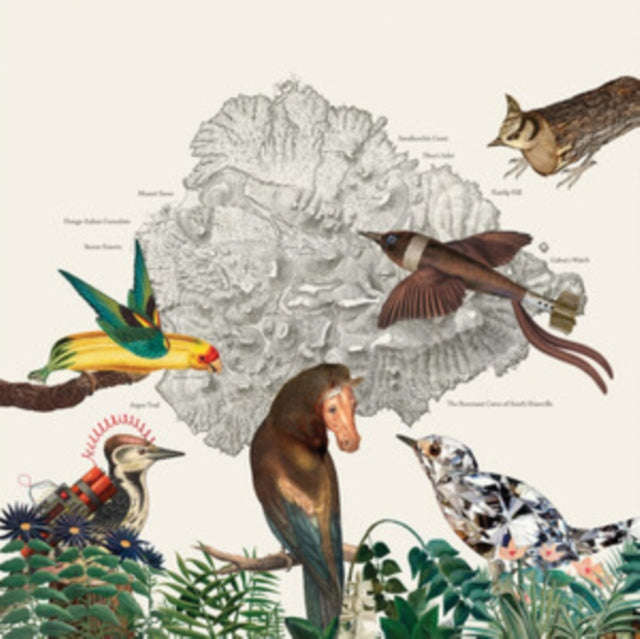 Friendly Rich - The Birds Of Marsville (Vinyl)