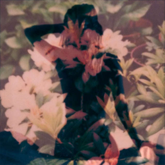 Modern Vices - Modern Vices (Vinyl)
