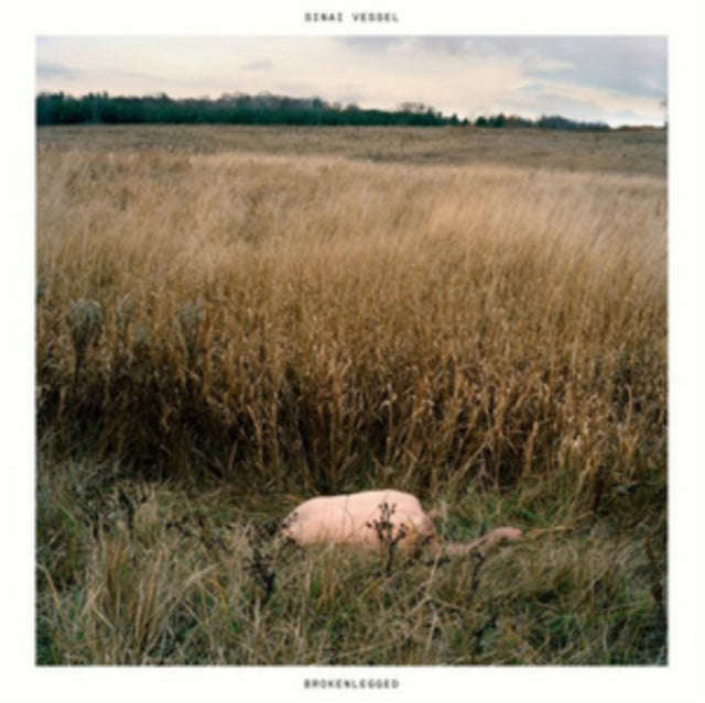 Sinai Vessel - Brokenlegged (CD)