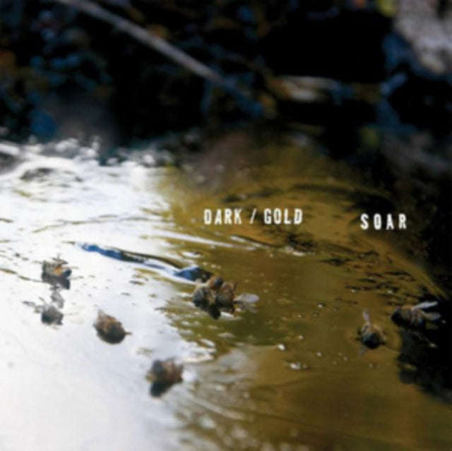 Soar - Dark / Gold (Vinyl)