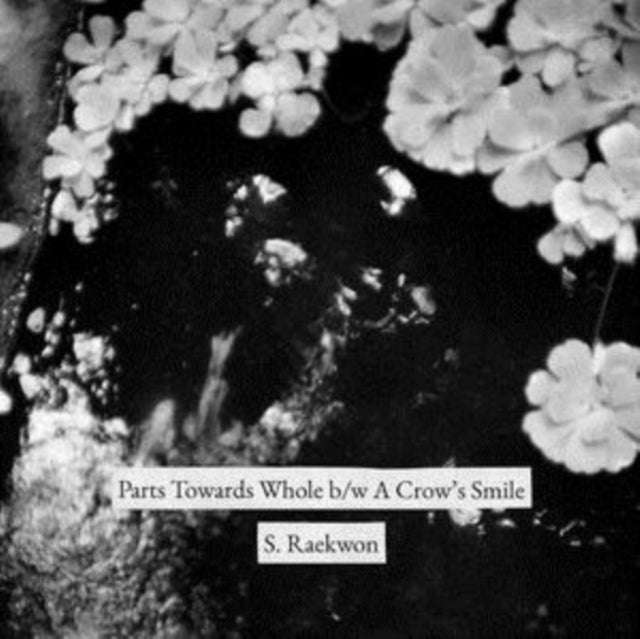 S. Raekwon - Part Towards Whole / A Crows Smile (Vinyl Single)