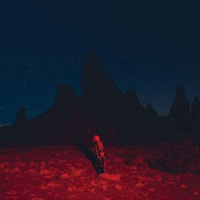 Phoebe Bridgers - Punisher (Vinyl)