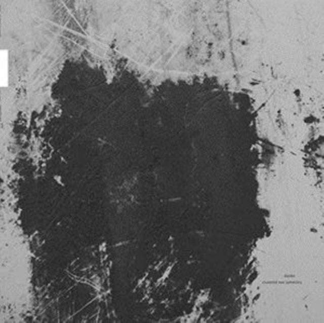 Diaster - Clustered Non Symmetry (Vinyl)