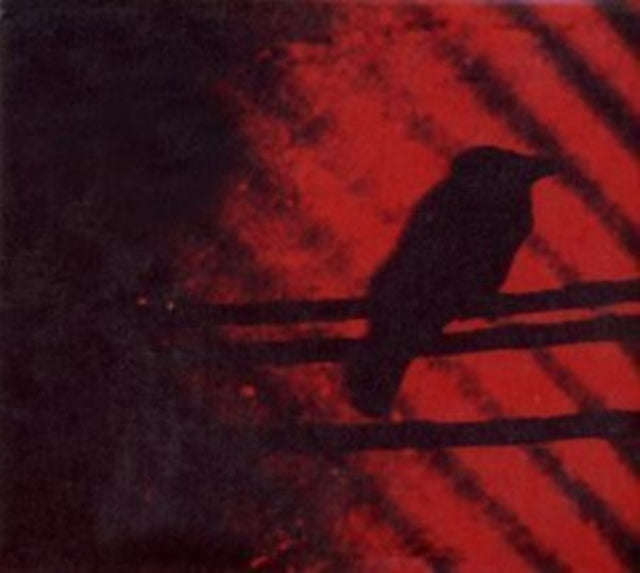 A Silver Mt Zion - Born Into Trouble (Vinyl)