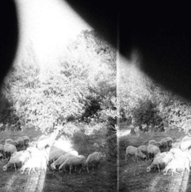 Godspeed You Black Emperor - Asunder  Sweet And Other Distress (Vinyl)