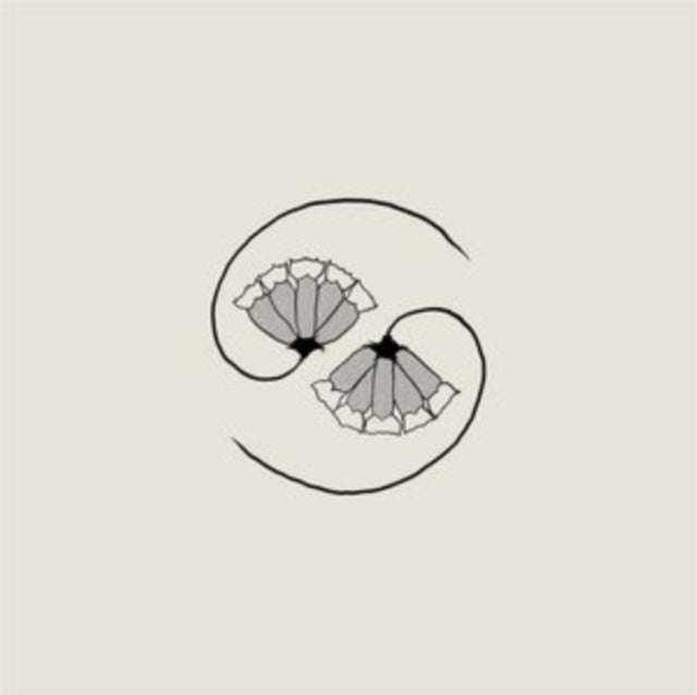 Godspeed You! Black Emperor - G_Ds Pee At States End! (Vinyl)