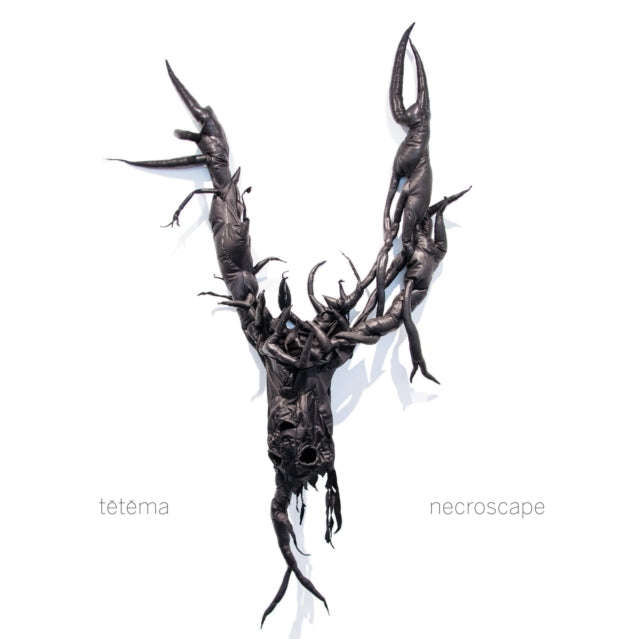 Te-Te-Ma - Necroscape (Vinyl)